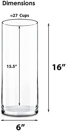 CYS EXCEL Clear Cylinder Glass Vase Set