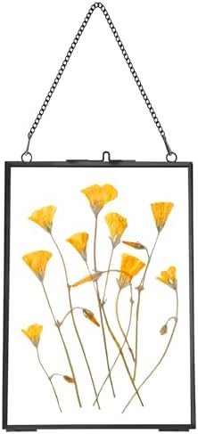 REDHUGO Hanging Pressed Flower Frame 5x7 Inches