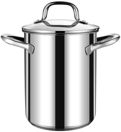 AIZYR Stainless Steel Soup Pot with Basket and Lid
