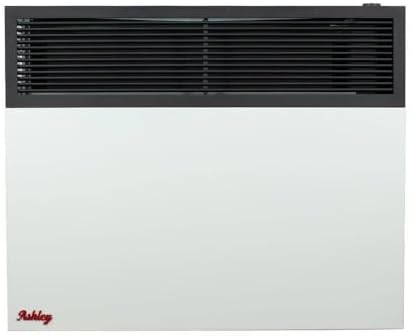 Ashley Direct Vent Wall Heater Dual Fuel 25000 BTU