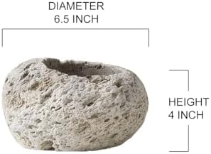 Serene Spaces Living Pumice Bowl Vase