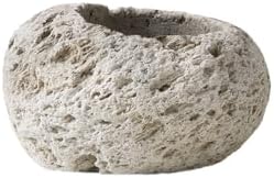 Serene Spaces Living Pumice Bowl Vase