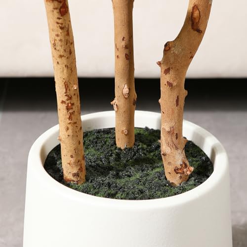 OAKRED Artificial Fiddle Leaf Fig Tree with White Planter 5ft