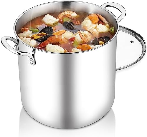 TeamFar 12 Quart Stock Pot with Lid