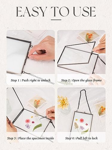 REDHUGO Hanging Pressed Flower Frame 5x7 Inches