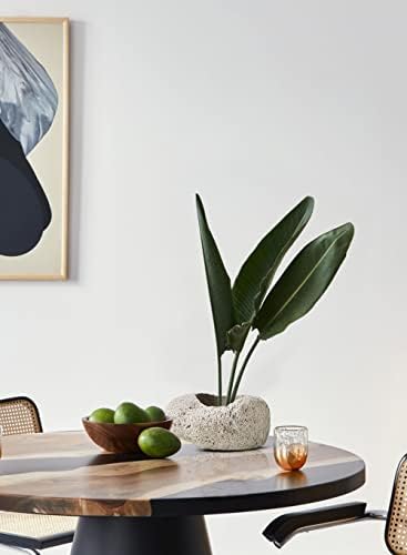 Serene Spaces Living Pumice Bowl Vase