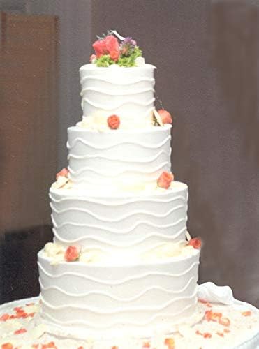 CAKESAFE - 2-625 Inch Clear Acrylic Disks for Icing