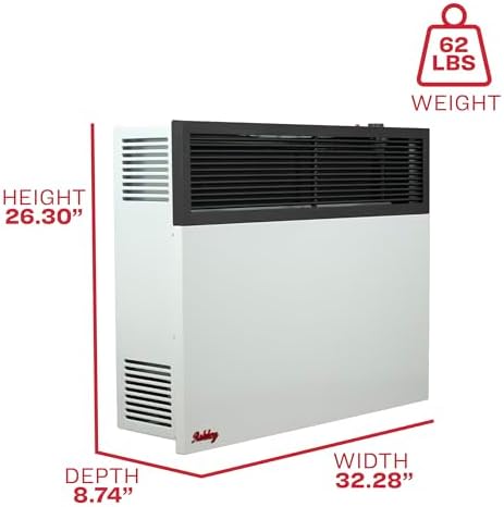 Ashley Direct Vent Wall Heater Dual Fuel 25000 BTU