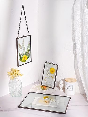 REDHUGO Hanging Pressed Flower Frame 5x7 Inches