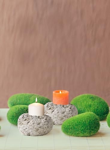 Serene Spaces Living Pumice Bowl Vase