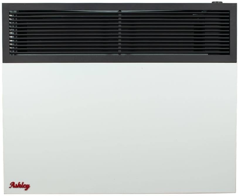 Ashley Direct Vent Wall Heater Dual Fuel 25000 BTU