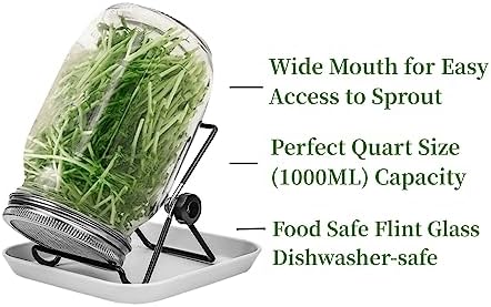 Lulonpon 2pcs Sprouts Growing Jar Kit with Lids and Tray