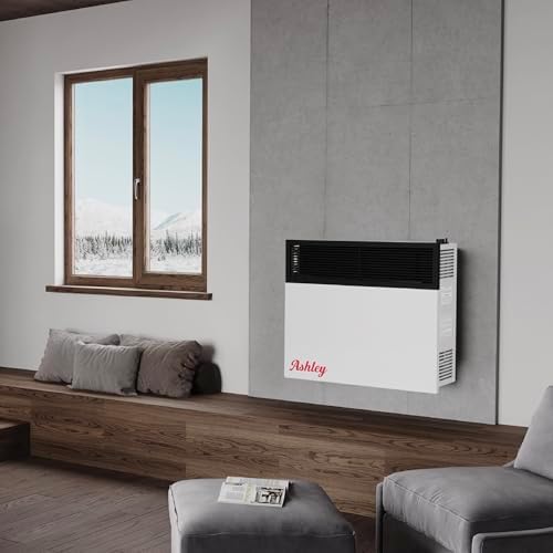 Ashley Direct Vent Wall Heater Dual Fuel 25000 BTU