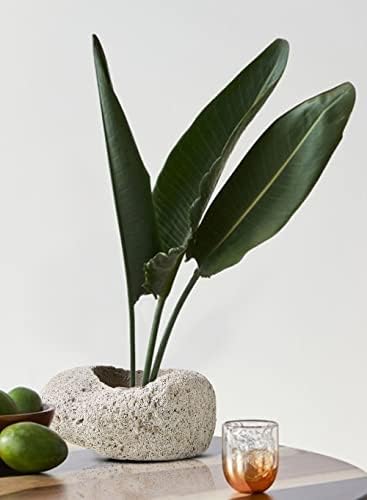 Serene Spaces Living Pumice Bowl Vase