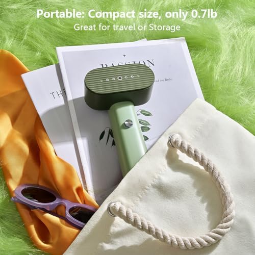 Nexdoo G6 Portable 2-in-1 Travel Steamer Iron for Clothes