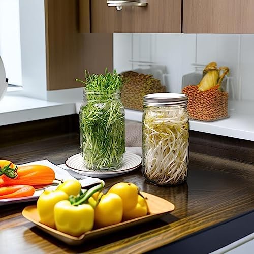 Lulonpon 2pcs Sprouts Growing Jar Kit with Lids and Tray