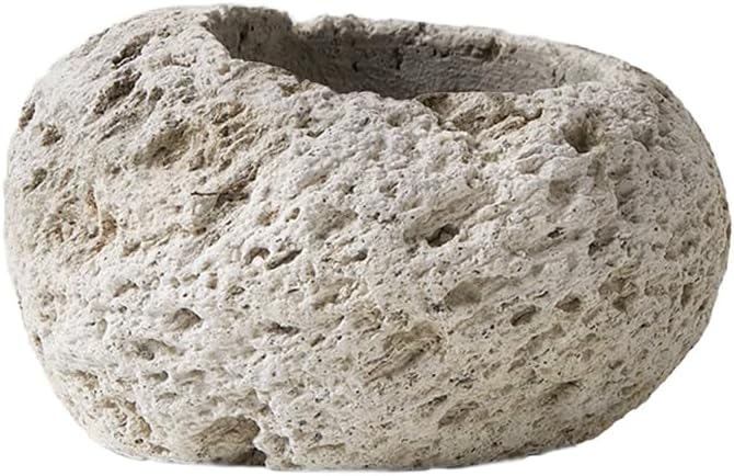 Serene Spaces Living Pumice Bowl Vase
