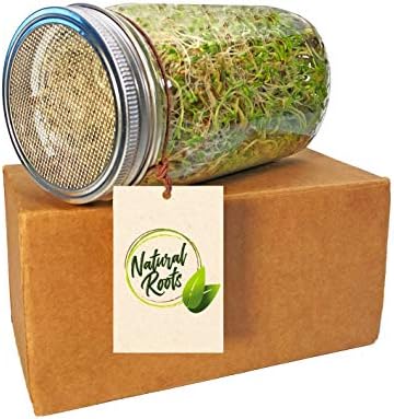 Sprouting Jar with Screen Lid - 316 Stainless Steel