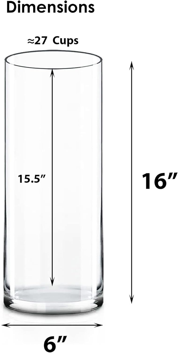 CYS EXCEL Clear Cylinder Glass Vase Set