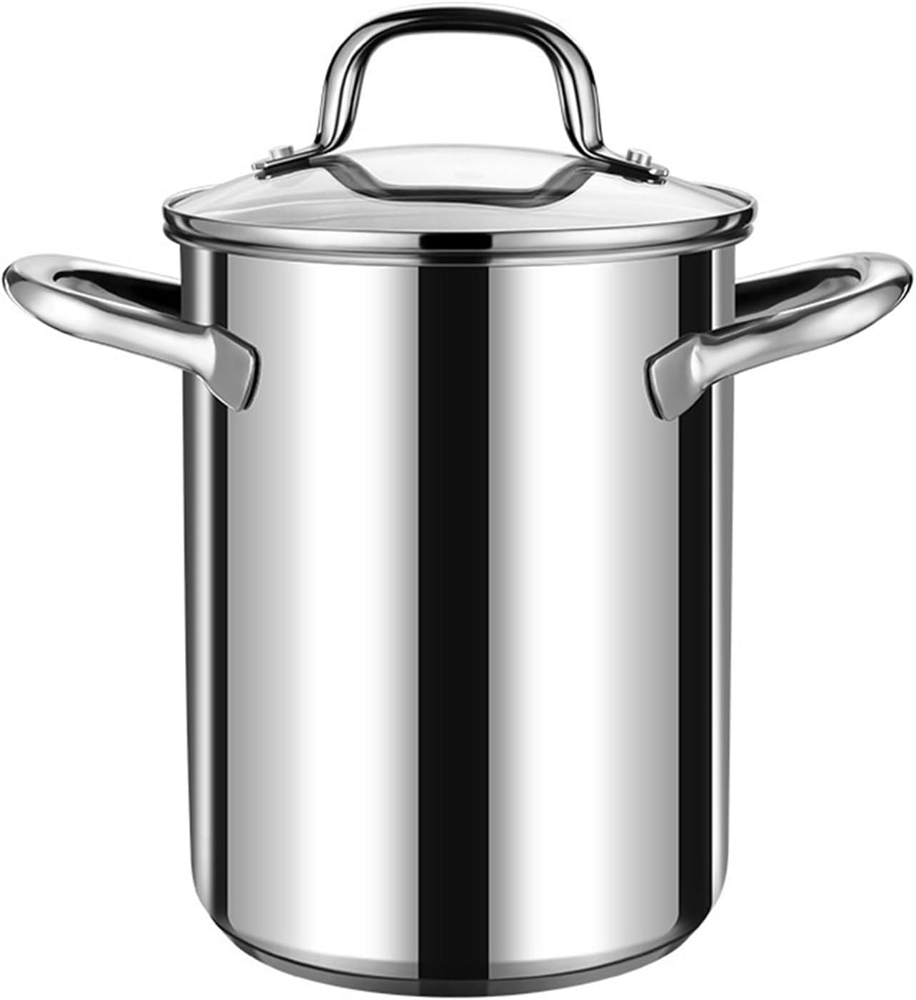 AIZYR Stainless Steel Soup Pot with Basket and Lid