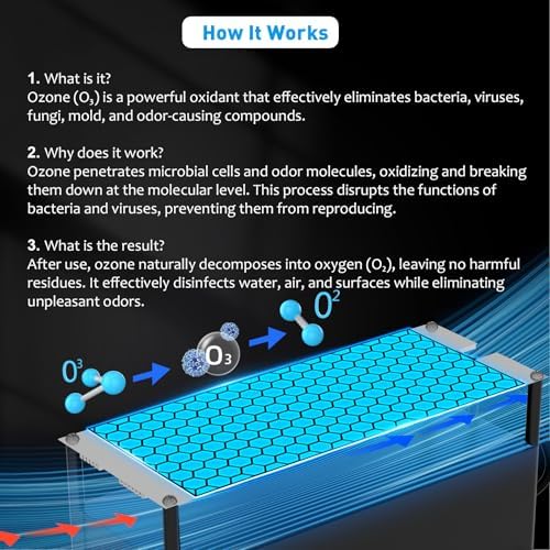 PowerScale Ozone Generator 60000 mg H Black