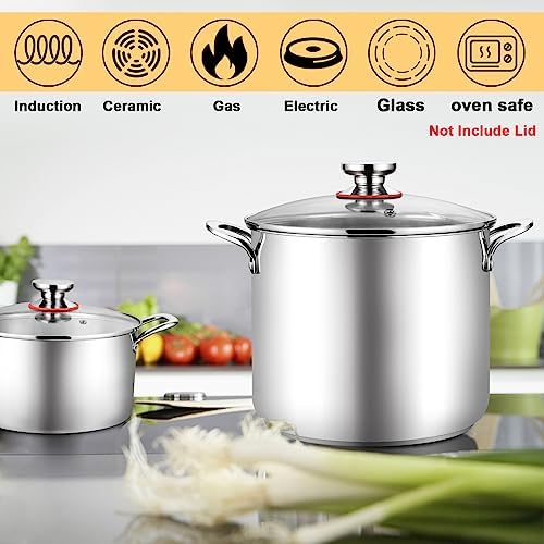 TeamFar 12 Quart Stock Pot with Lid