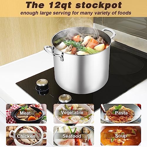 TeamFar 12 Quart Stock Pot with Lid