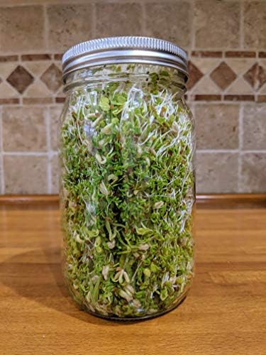 Sprouting Jar with Screen Lid - 316 Stainless Steel