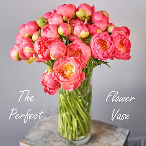 CYS EXCEL Clear Cylinder Glass Vase Set