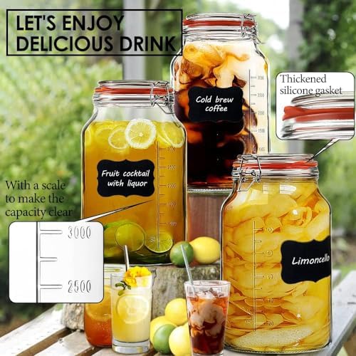 Super Wide-Mouth Glass Jars with Hinged Lids 2-Pack