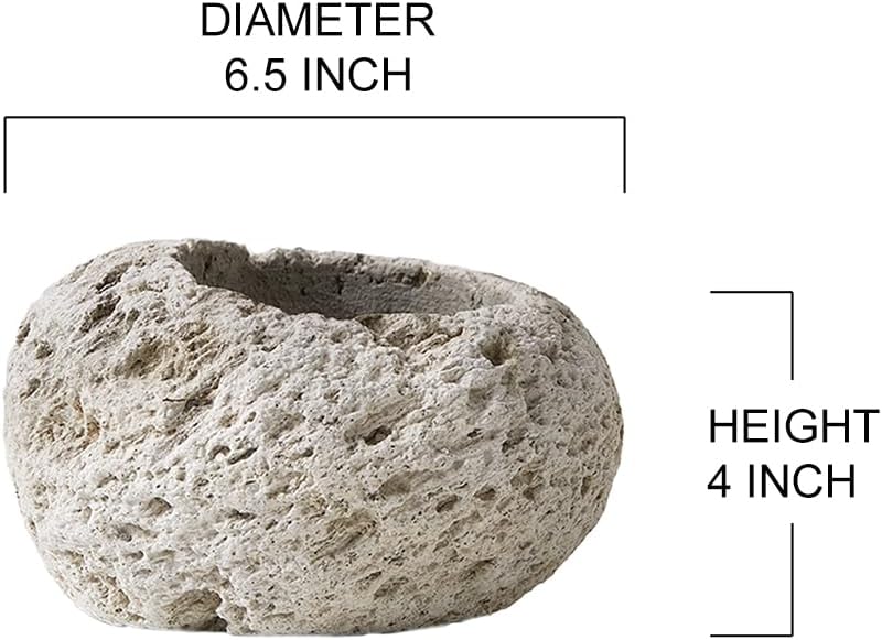Serene Spaces Living Pumice Bowl Vase