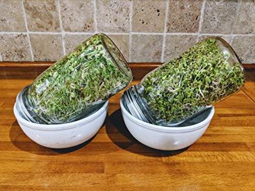 Sprouting Jar with Screen Lid - 316 Stainless Steel