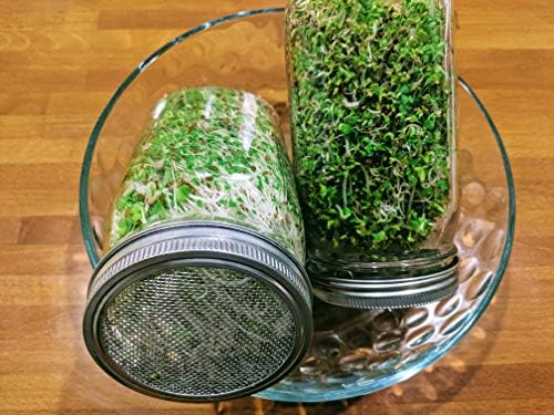 Sprouting Jar with Screen Lid - 316 Stainless Steel