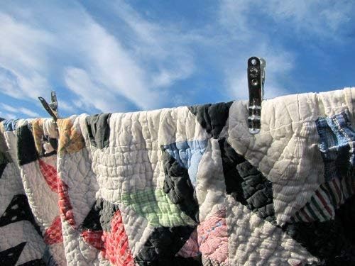 Henry Berry Dairy Extreme Clothespins 20 Pack