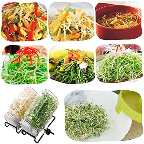 Lulonpon 2pcs Sprouts Growing Jar Kit with Lids and Tray