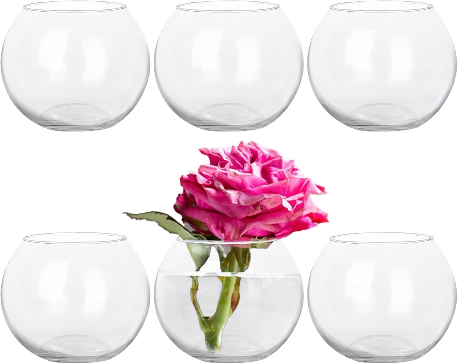Set of 6 Clear Glass Vases with Sponge Brush