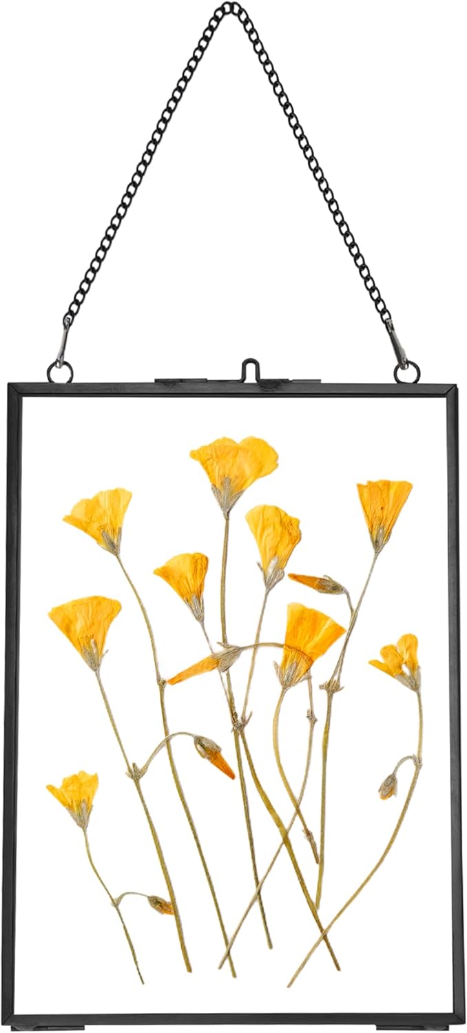 REDHUGO Hanging Pressed Flower Frame 5x7 Inches