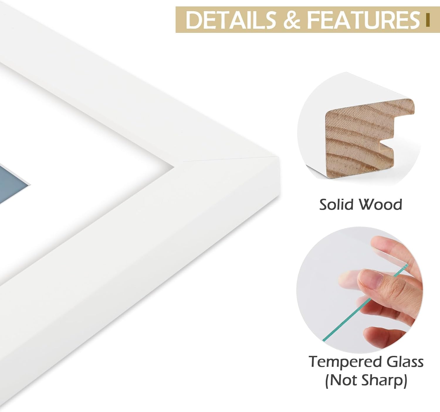 Golden State Art 8x10 White Wooden Picture Frame with Tempered Glass 5 Packs