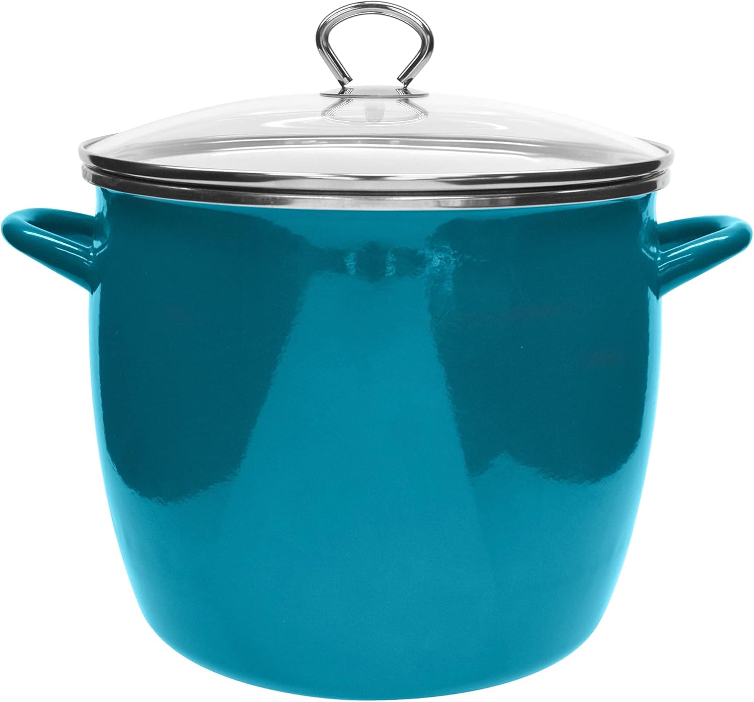 Vasconia Teal 12-Quart Stockpot with Glass Lid
