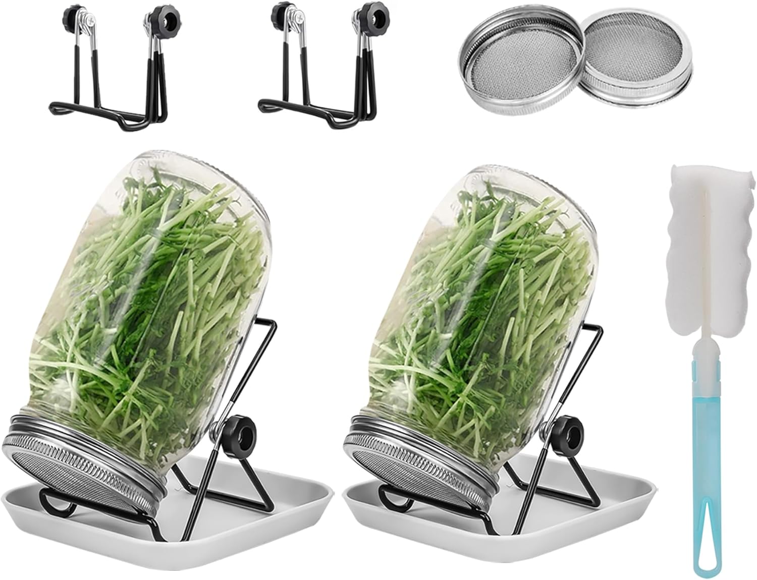Lulonpon 2pcs Sprouts Growing Jar Kit with Lids and Tray