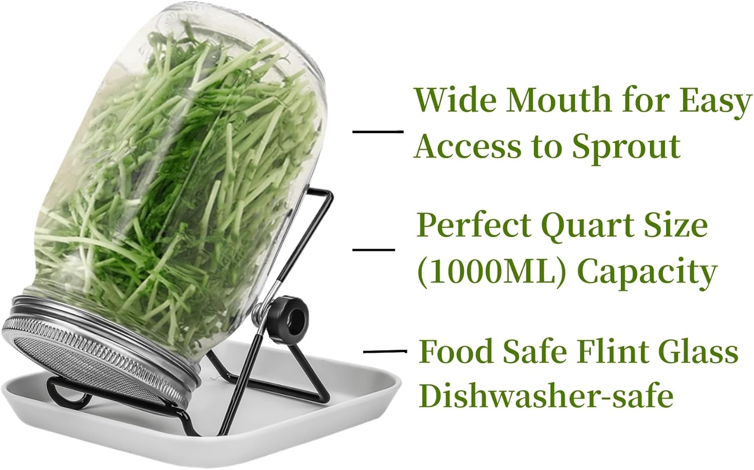 Lulonpon 2pcs Sprouts Growing Jar Kit with Lids and Tray
