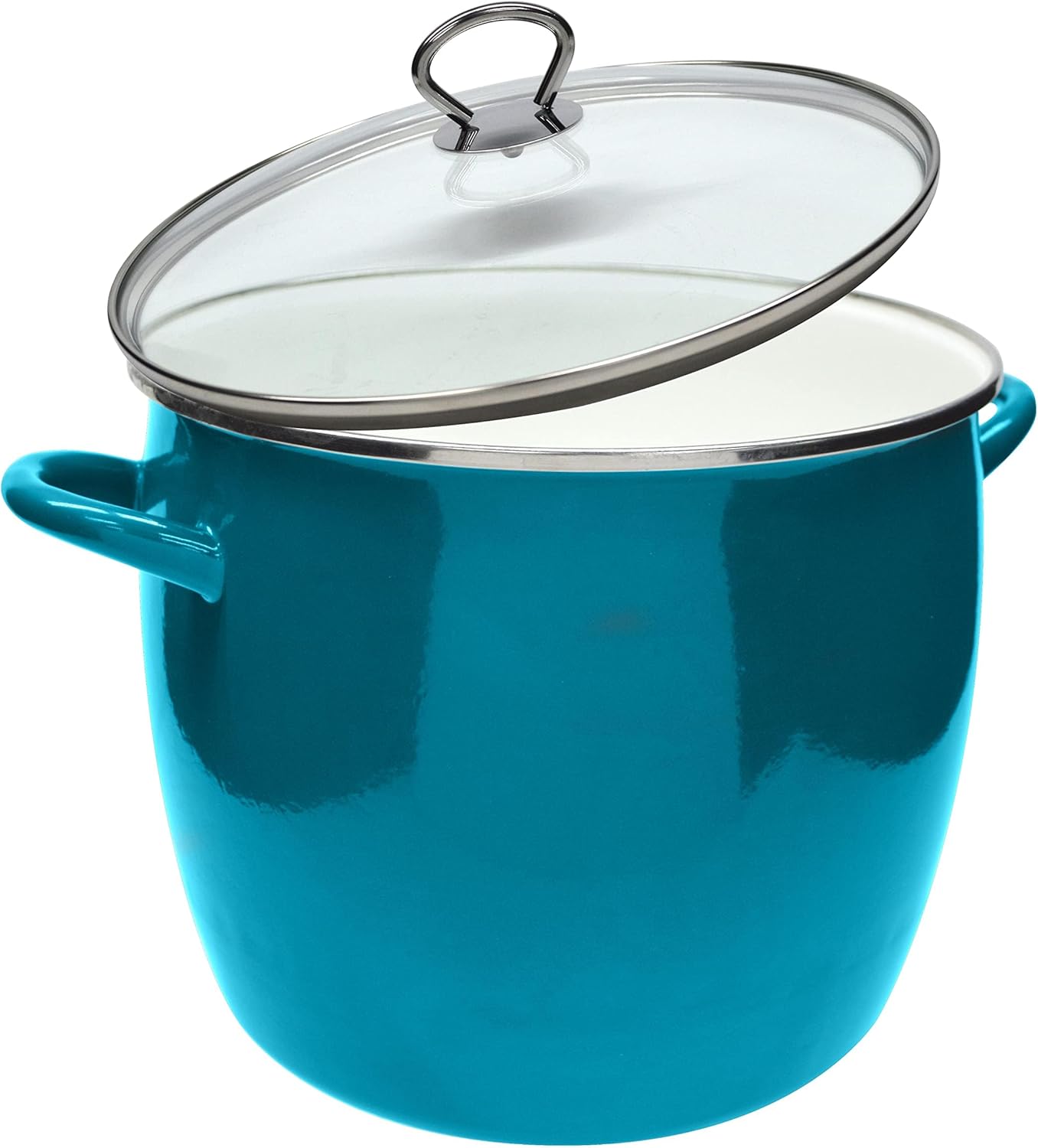 Vasconia Teal 12-Quart Stockpot with Glass Lid