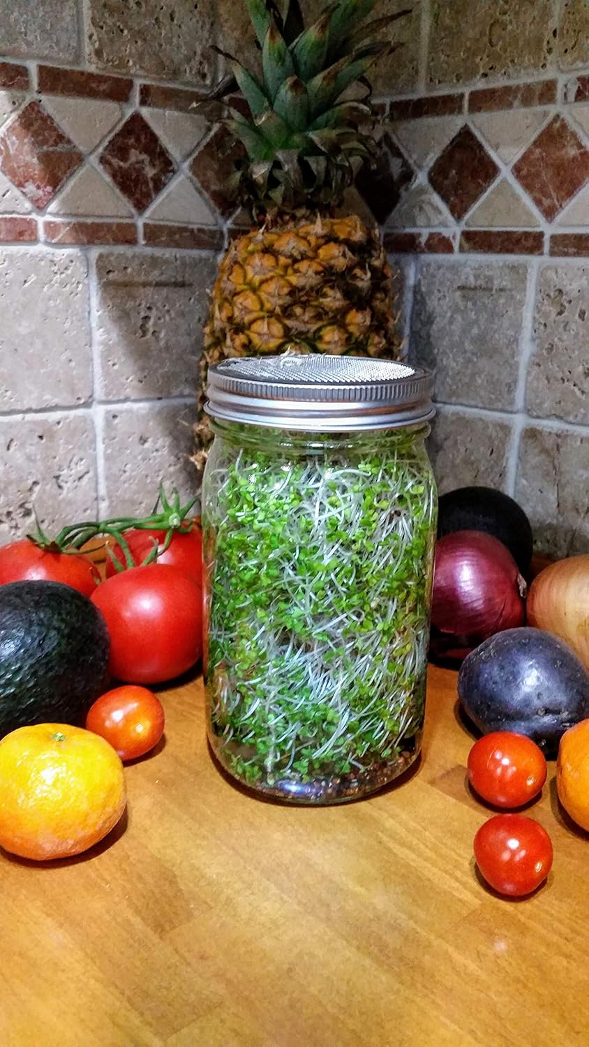 Sprouting Jar with Screen Lid - 316 Stainless Steel