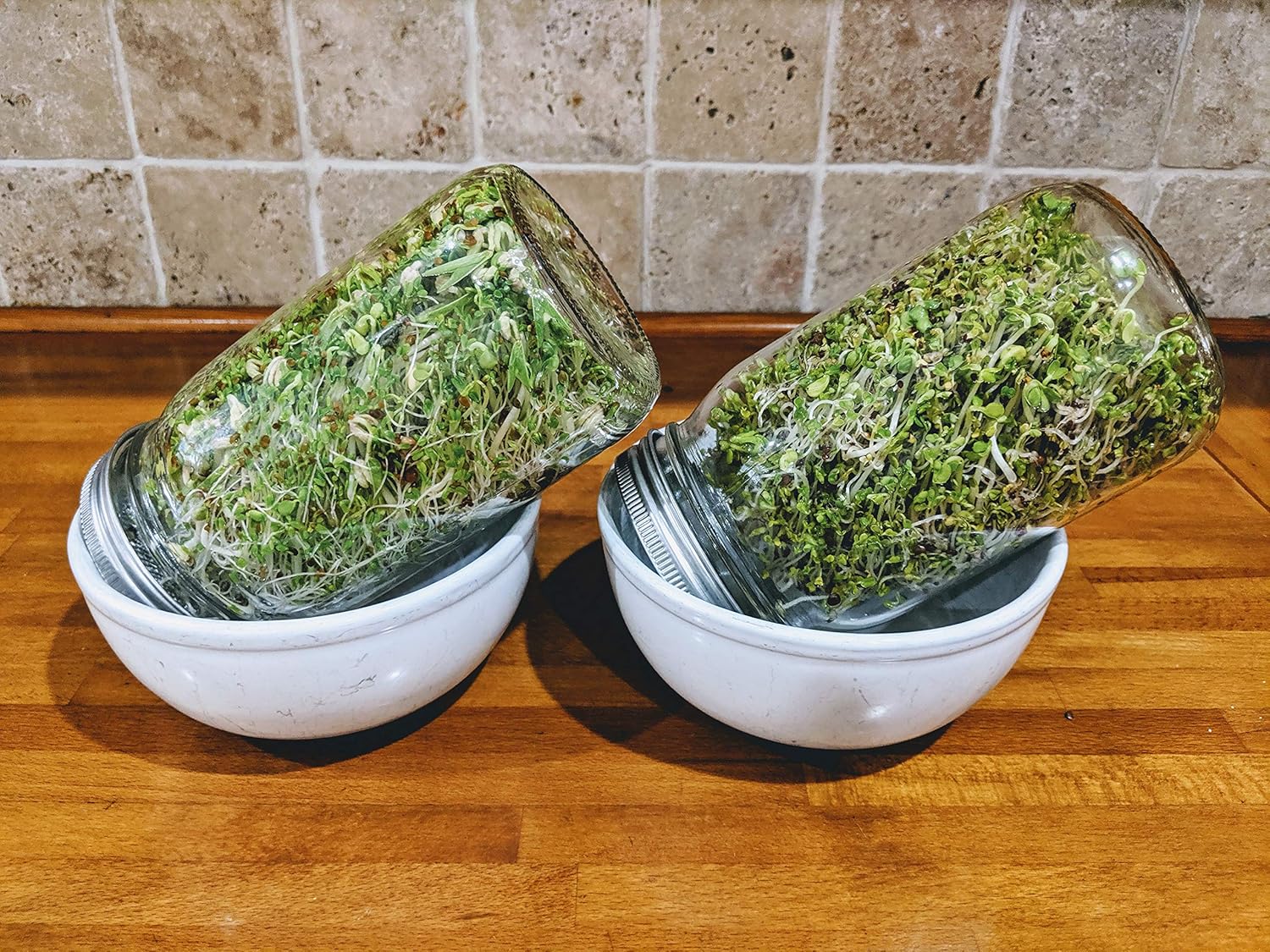 Sprouting Jar with Screen Lid - 316 Stainless Steel