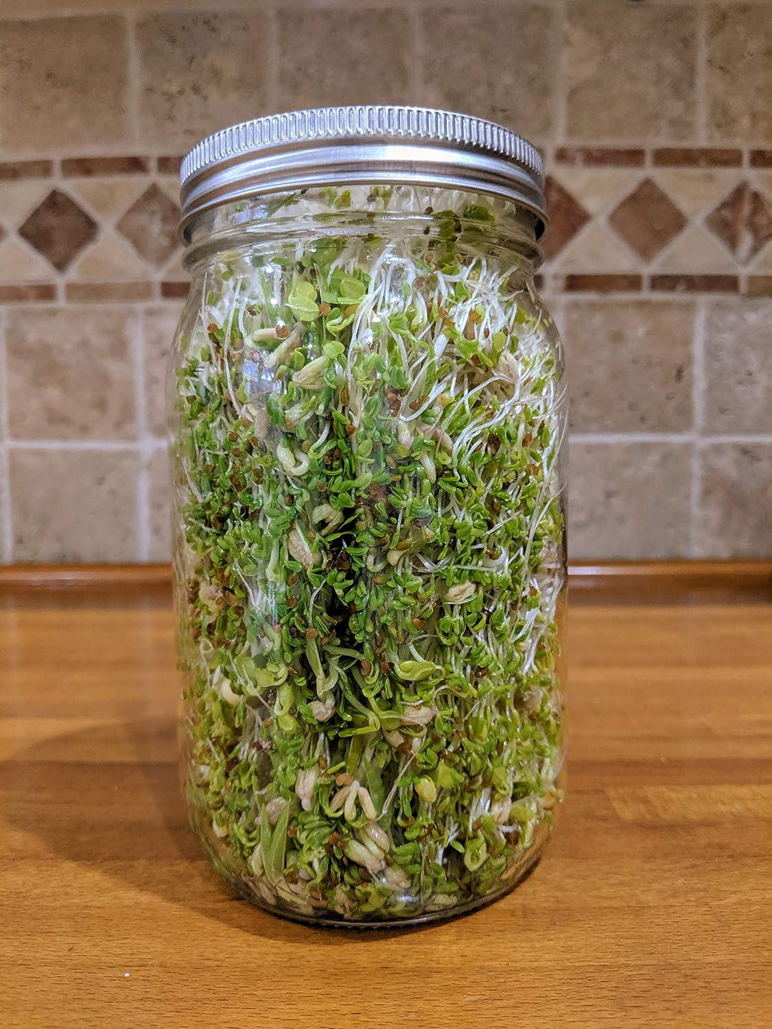 Sprouting Jar with Screen Lid - 316 Stainless Steel