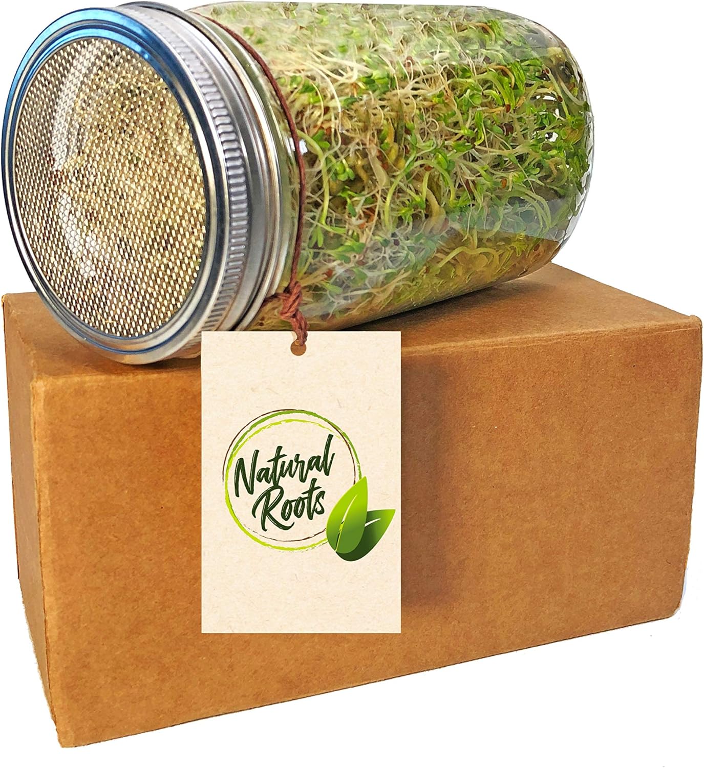 Sprouting Jar with Screen Lid - 316 Stainless Steel